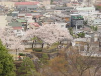 Dsc02745
