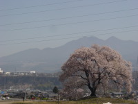 Dsc02848
