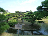 P1060506