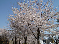 P1120702